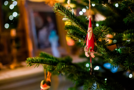 Noël écoresponsable : que glisser au pied du sapin ?