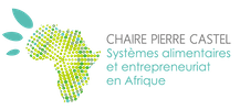 Fonds de dotation Pierre Castel - Agir avec l'Afrique